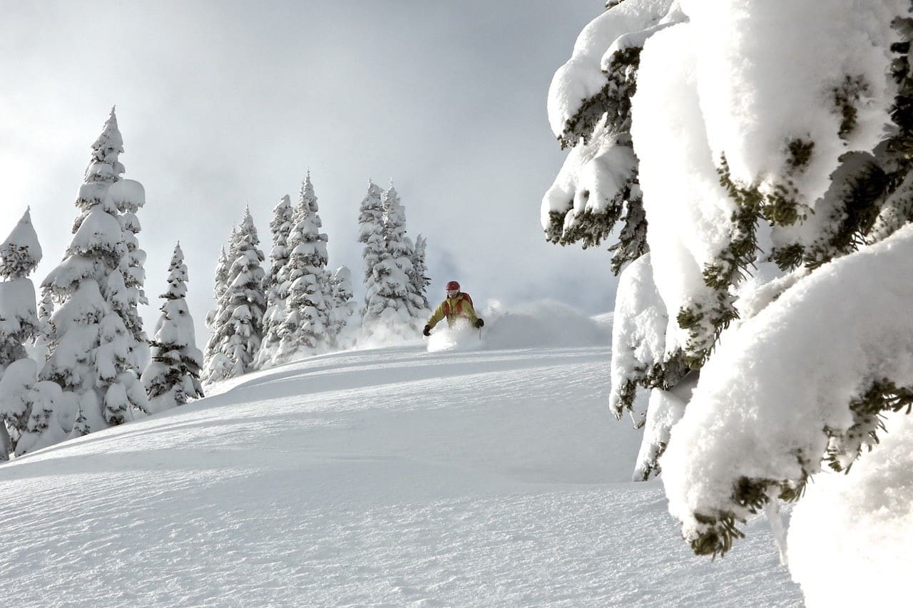 CMH Adamants, British Columbia