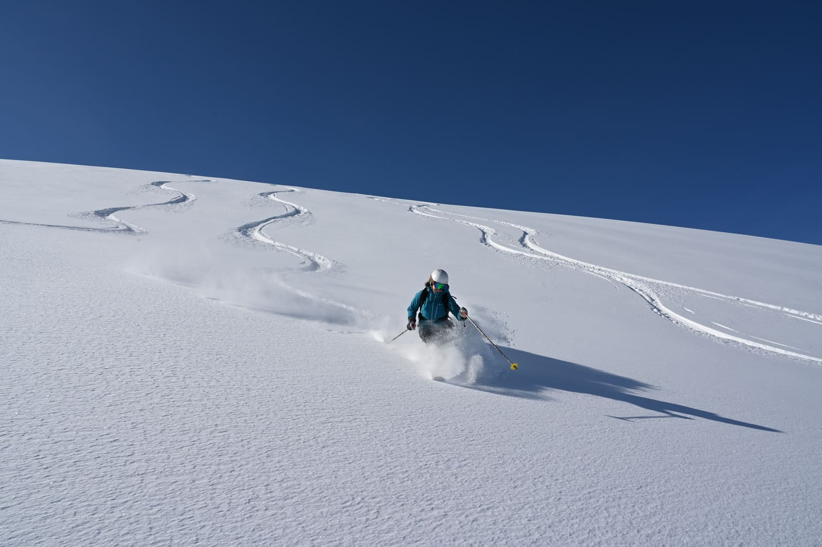 Tiefschneefahrer bei CMH in Revelstoke