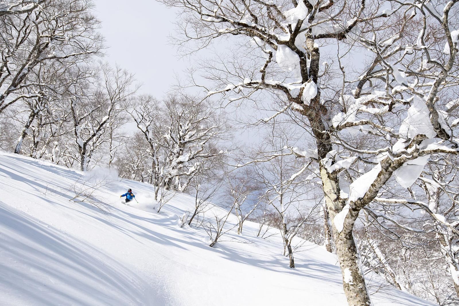 Geto Kogen, Bild 2