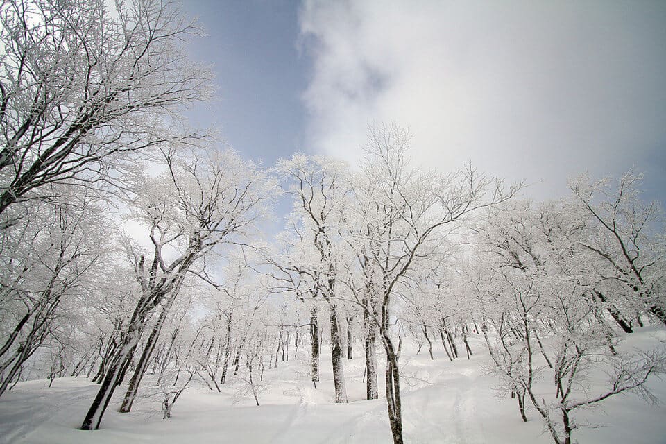 Geto Kogen, Bild 3