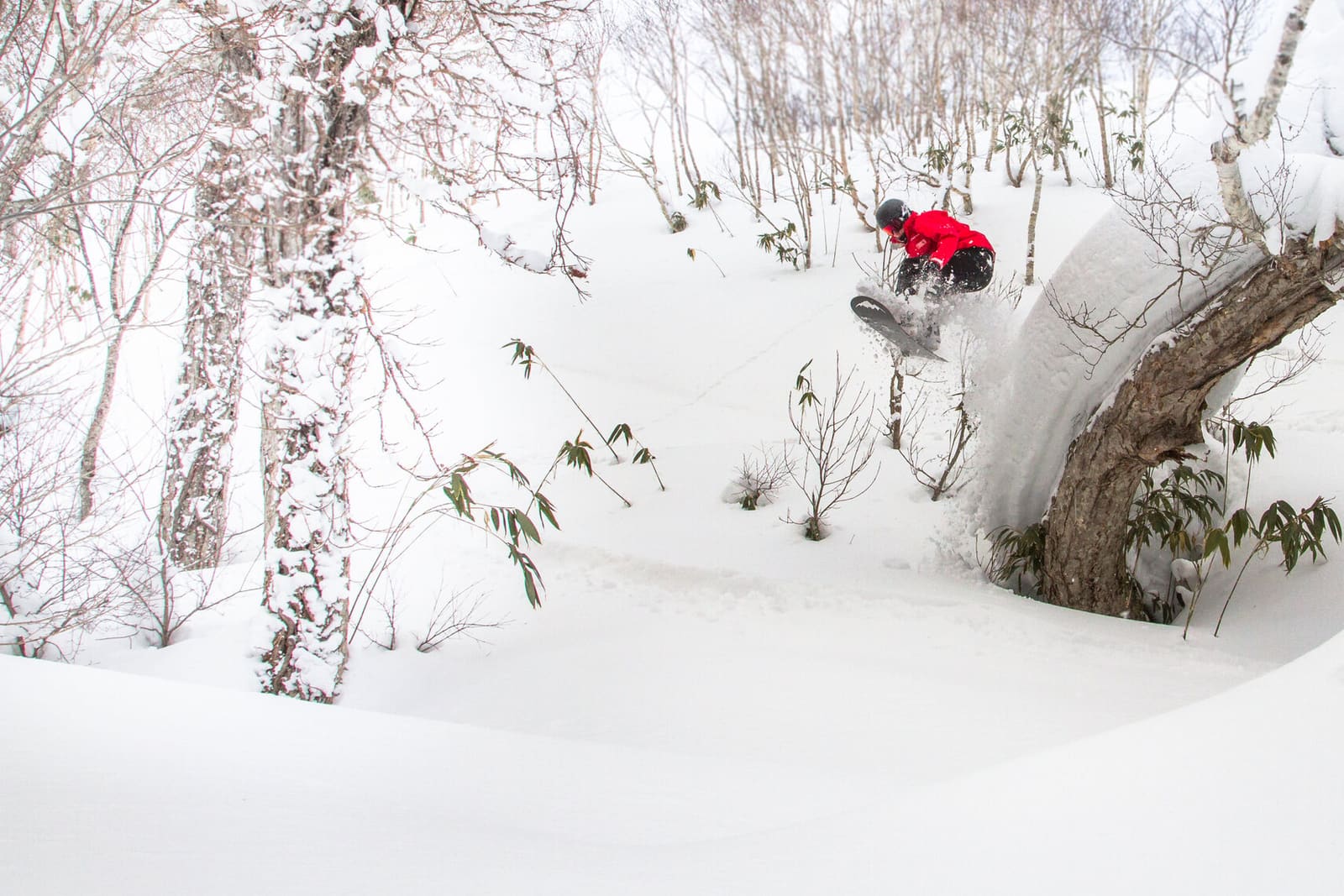 Myoko, Bild 1