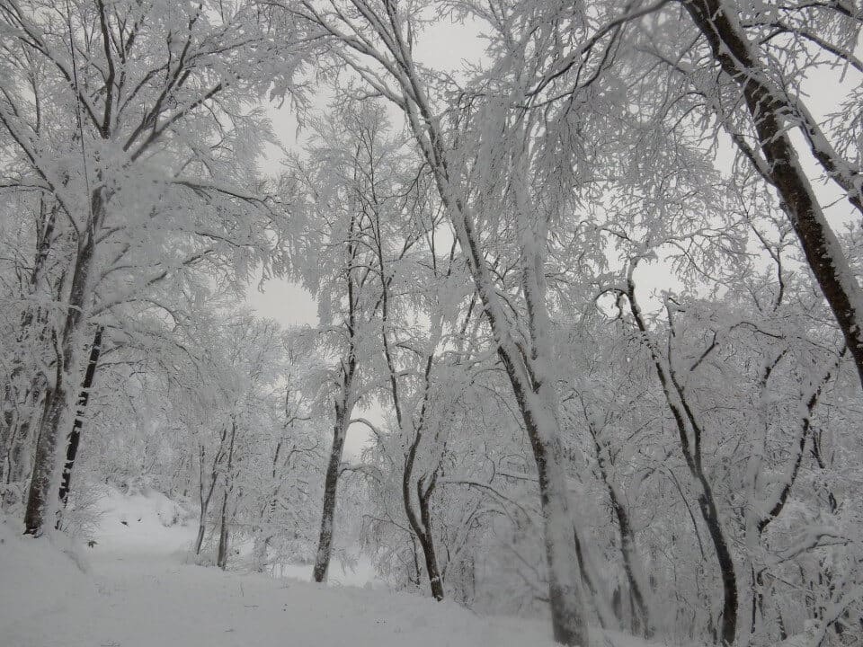 Zao Onsen, Bild 1