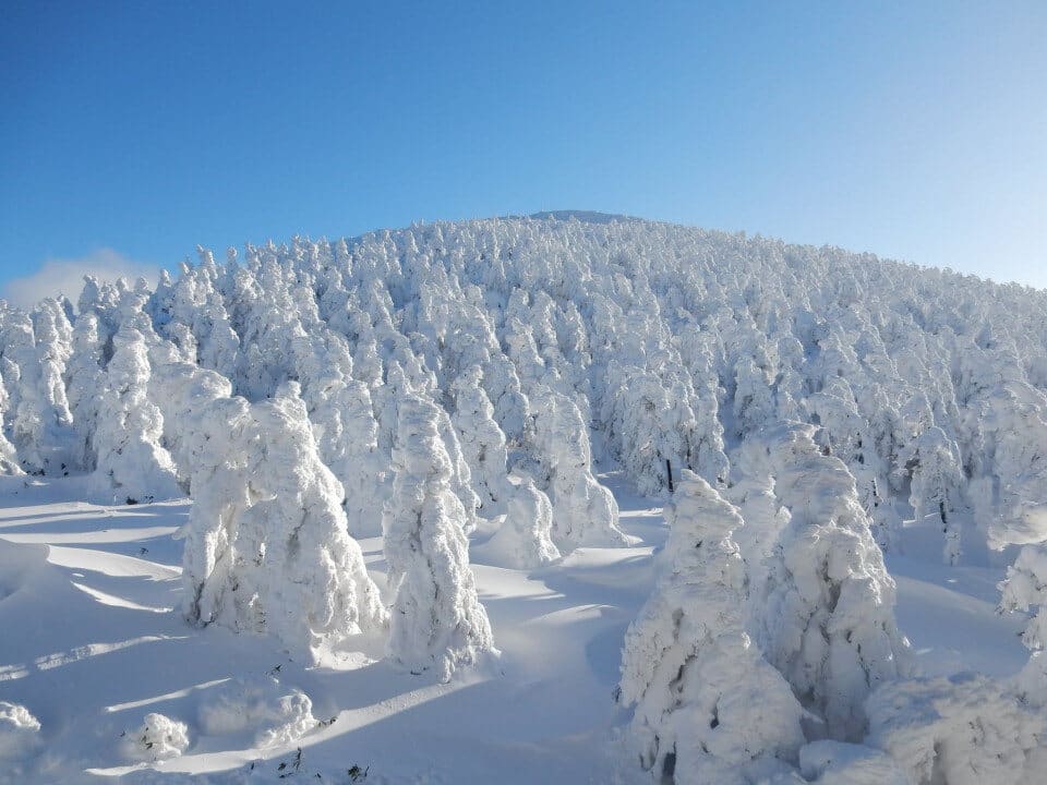 Zao Onsen, Japan