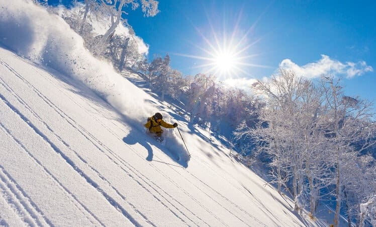 Skitour im südlichen Hokkaido, Bild 1